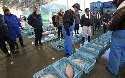 スーパおんまえや鮮魚　女川市場